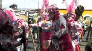 Carnaval De Nativitas Tlaxcala  Turcos Rosas  Domingo 28  Febrero 2010 [upl. by Laith]