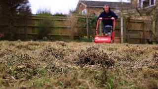 Lawn Scarification  Correct Scarification Procedure [upl. by Nofets123]