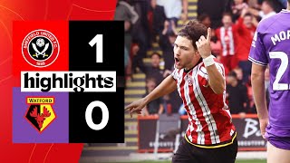 Sheffield United 10 Watford  EFL Championship highlights [upl. by Eremahs446]