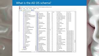 What is the AD DS schema [upl. by Car]