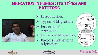 Migration in fishes It’s Types and Patterns [upl. by Sale]