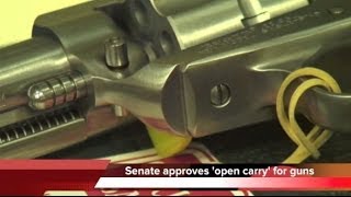 New bill lets anyone carry a gun in Tennessee [upl. by Tapes]