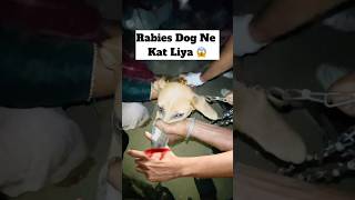 Rabies Dog Ne Kat Liya 😱  minivlog [upl. by Dominica]