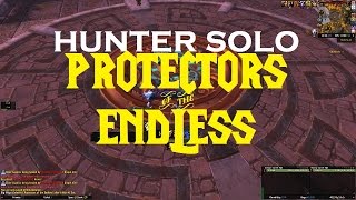 Hunter Solo Vittoriya vs Protectors of the Endless with Regail Last 10N [upl. by Jewett]