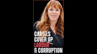 BREAKING Government Coverup in Tameside REVEALED [upl. by Esertak680]