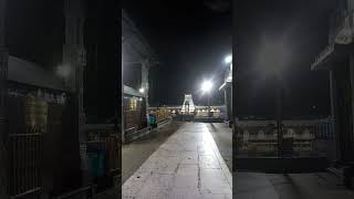 Tirupati venkateshwar india temple venkateswara south india [upl. by Areem]