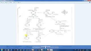 Shikimic acid pathway [upl. by Yrtsed52]