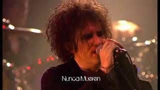 The Cure Bloodflowers Sub Español Live In Berlin 2002 [upl. by Grider]