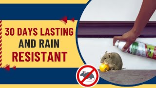 Tom Cat Rodent Repellent Spray  Safe For Use Around Kids And Pets [upl. by Rankin]