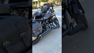 HD Street Glide  HD Softail Cross Bones  HD Sportster hdfanclub [upl. by Mancino]