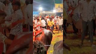 Karwan Sadar Sammelan Bull Lifting 2024🔥sadar yadav trend trending hyderabad yt shorts [upl. by Drape]