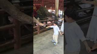 elephant eating banana baby feeding banana to elephant trending minivlog reels ytshort viral [upl. by Eissak]