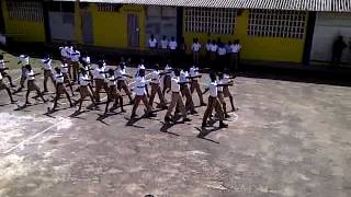 NIB DRILL TEAM ST ANN DIV [upl. by Figone286]