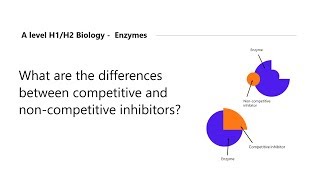 H2 Biology Tuition  H1 Biology Tuition  Competitive Inhibitors vs Noncompetitive Inhibitors [upl. by Brecher]