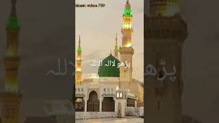 Paro la ilaha ilala Islamic videos 789 youtubeshorts naatepaak islamicstatus youtubeshorts [upl. by Bonne]