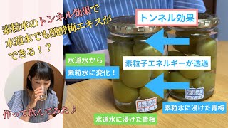 素粒水のトンネル効果で水道水→素粒水で作った醗酵梅エキス1ヶ月置いたできたてを飲んでみた！ [upl. by Hamilah]