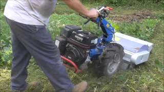 BCS walkbehind tractor flail mower pulverizing weedsbrush [upl. by Ylloj]