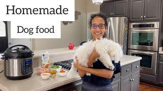 Homemade Healthy Dog Food Recipe  Homemade Dog Food Cooking For Your Dog 🐶 [upl. by Lleddaw7]