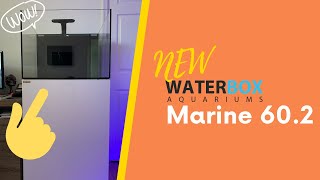 My New Water Box Marine 602 Aquarium [upl. by Adalai855]