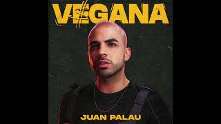 Juan Palau  Vegana IntroampOut DJ Rooizer [upl. by Mattland840]