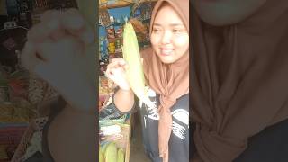 HARGA JAGUNG MELONJAKidejualan ideusaha usaharumahan usahamodalkecil [upl. by Femi]