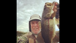 Kayak Fishing for Bass Lacassine Wildlife Refuge South Louisiana [upl. by Willcox755]