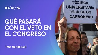 El veto a la ley de Financiamiento Universitario ingresó al Congreso [upl. by Asiek]