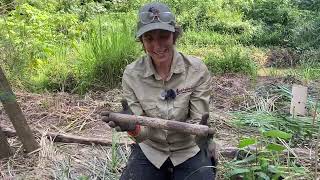 Kedron Brook Workshop Training Video  Planting [upl. by Nibot647]