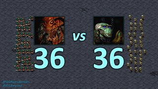 36 Hydralisks vs 36 Zealots  Even Numbers  StarCraft Retro Battles [upl. by Bertram858]