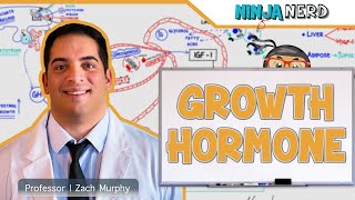 Endocrinology  Growth Hormone [upl. by Hermione]