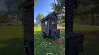 Worlds smallest unique house shortsvideo [upl. by Sergent]