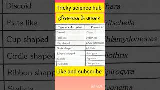 Chloroplast plastidsits types shapes 👍हरितलवक लवक biology cell neet cbse cbse10th yt [upl. by Anirret]