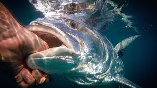 Fishing for GIANT Roosterfish in Costa Rica [upl. by Llertniuq750]