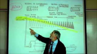 CARDIAC PHYSIOLOGY PART 4 by Professor Finkwmv [upl. by Namus849]