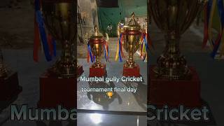 Mumbai Gully cricket final day 🏆  Box cricket match gullycricket shortvideo vlogs cricket [upl. by Bullough]