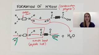 Simple Condensation polymerisation polymer explained using nylon GCSE [upl. by Durham883]