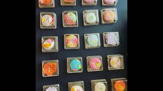 Aki Wagashi workshop [upl. by Eerb]