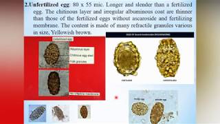 7 Lecture of Vet Nematodes  Introduction and Ascarias [upl. by Saticilef448]