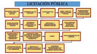 LICITACIÓN PÚBLICA PASOS Y TIEMPOS [upl. by Nashoma]