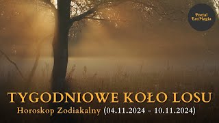 Tygodniowe Koło Losu 04112024  10112024 kartadnia horoskop [upl. by Caassi734]