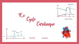 Le cycle cardiaquela pompe cardiaque Physiologie cardiovasculaire [upl. by Tteraj972]