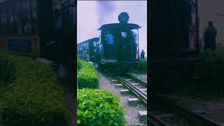 Darjeeling toy train [upl. by Orelee]