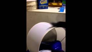 Lampshade Cleaning Process  CORT Furniture [upl. by Zed72]