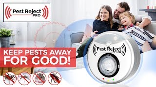 Pest Reject Pro  Creepy [upl. by Miahc]