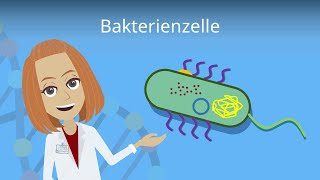 Bakterienzelle  Aufbau amp Funktion einfach erklärt  Studyflix [upl. by Odranreb]