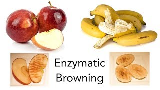 Why Do Apples and Bananas Turn Brown  STEM activity [upl. by Ytram]