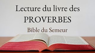 PROVERBES Bible du Semeur [upl. by Calley746]