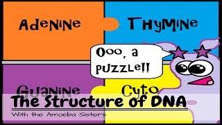 OLD VIDEO DNA Structure and Function [upl. by Eiznekam]