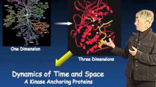 Susan Taylor UCSD Part 3 Protein Kinase Regulation and Localization [upl. by Haduhey]