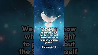 The Spirit himself intercedes for us through wordless groans Romans 826 [upl. by Halilak387]